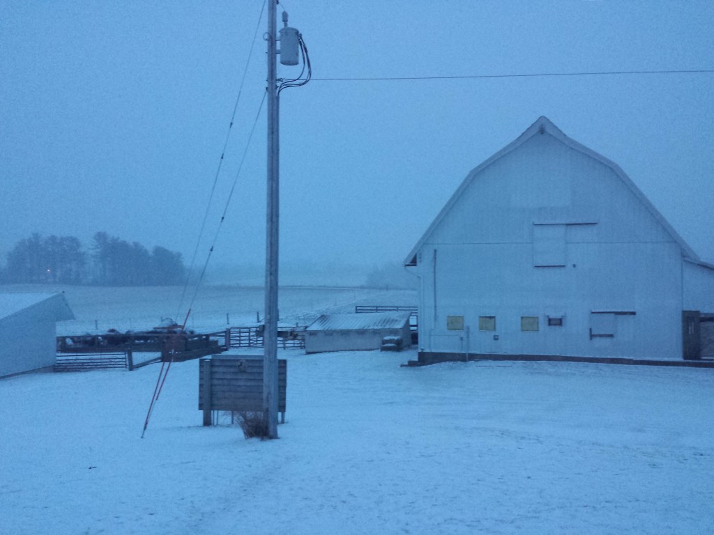 The view out my front window...