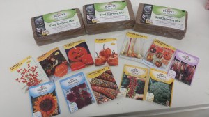 Don't they look like FUN!?!